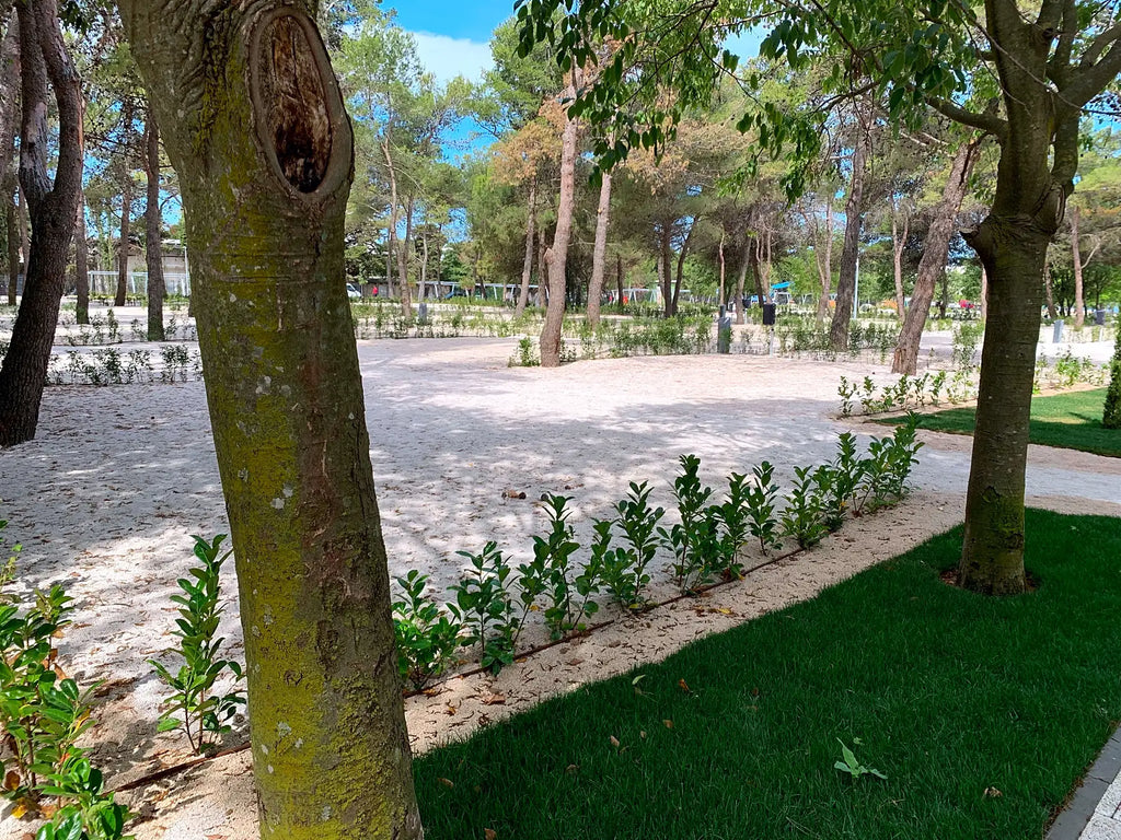 Zadar Premium Stellplätze  Camping & Wohnmobilvermietung